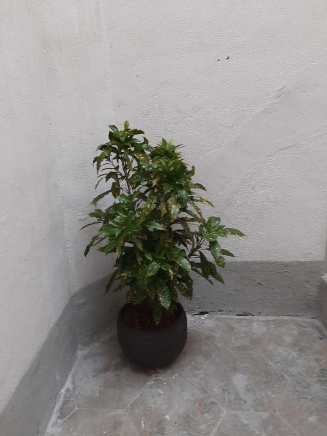 Al Crocifisso...Da Nonna Pia Apartment Salerno Exterior photo